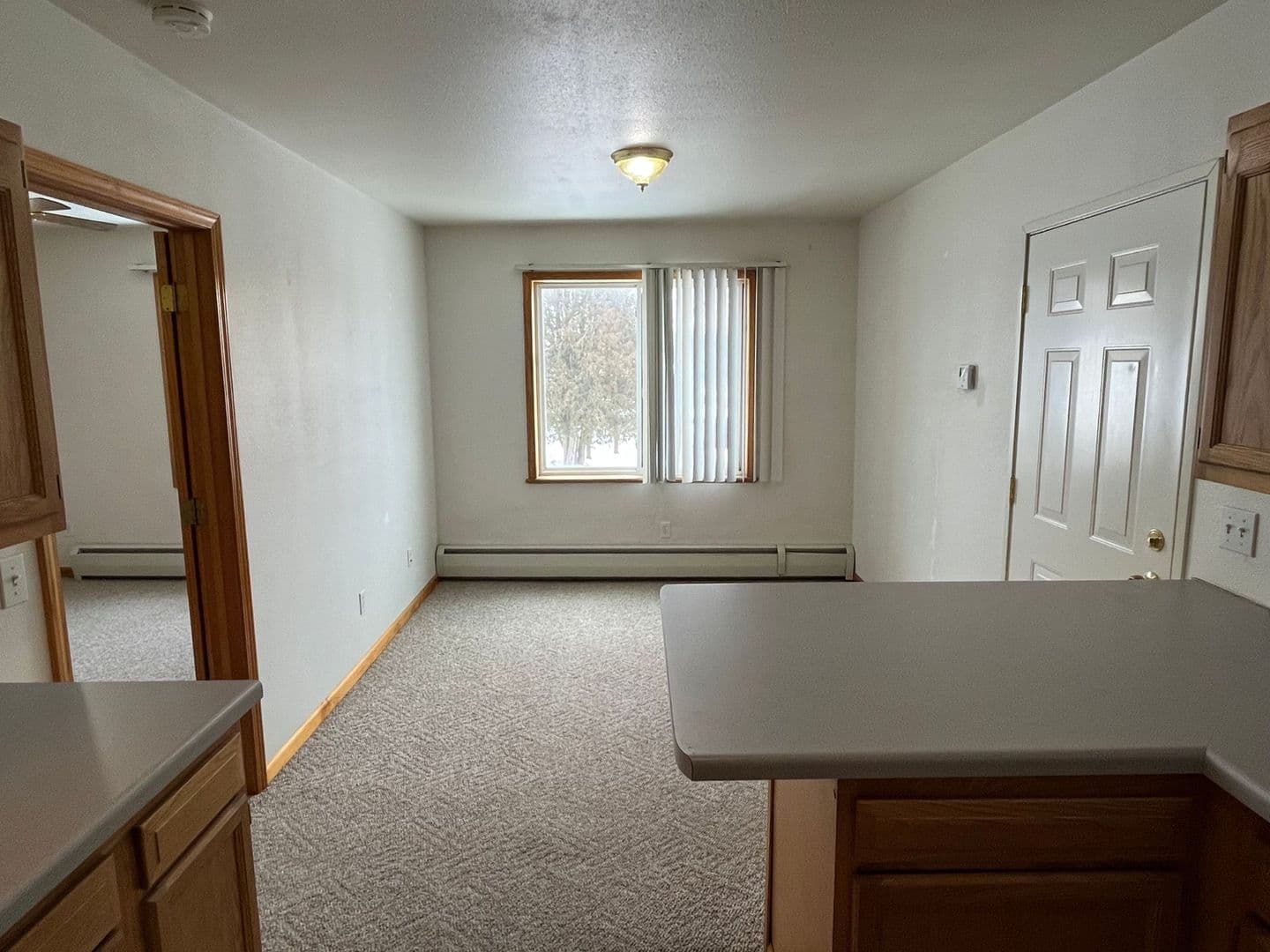 Wittenberg Apartment: 516 S Webb Street