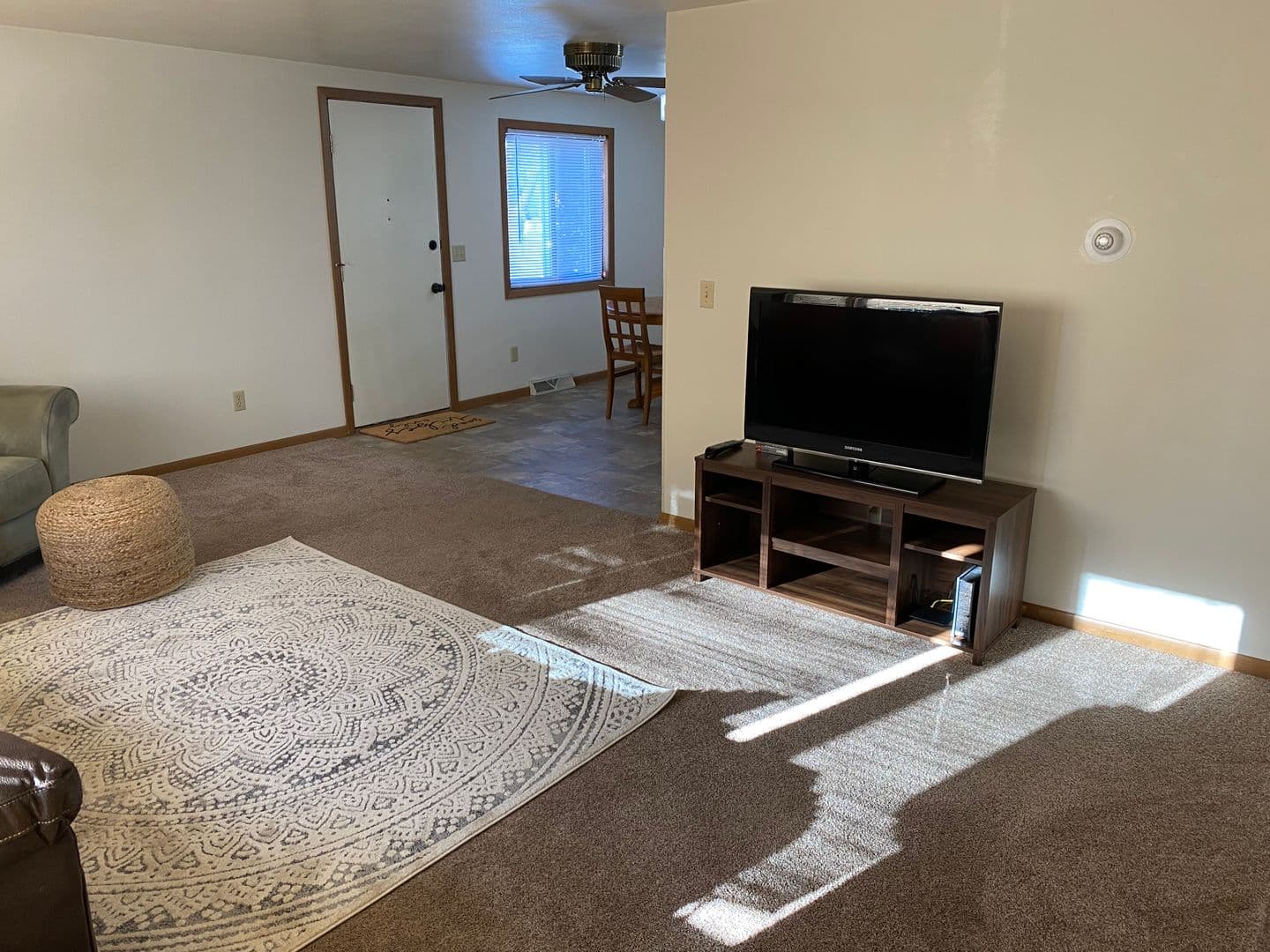 Marshfield Apartment: 307 S Vine Avenue