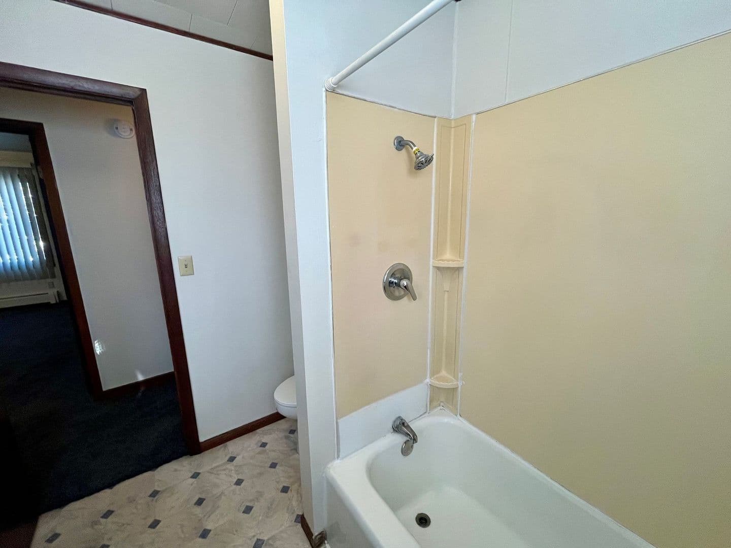 Wittenberg Apartment: 207 E Front St