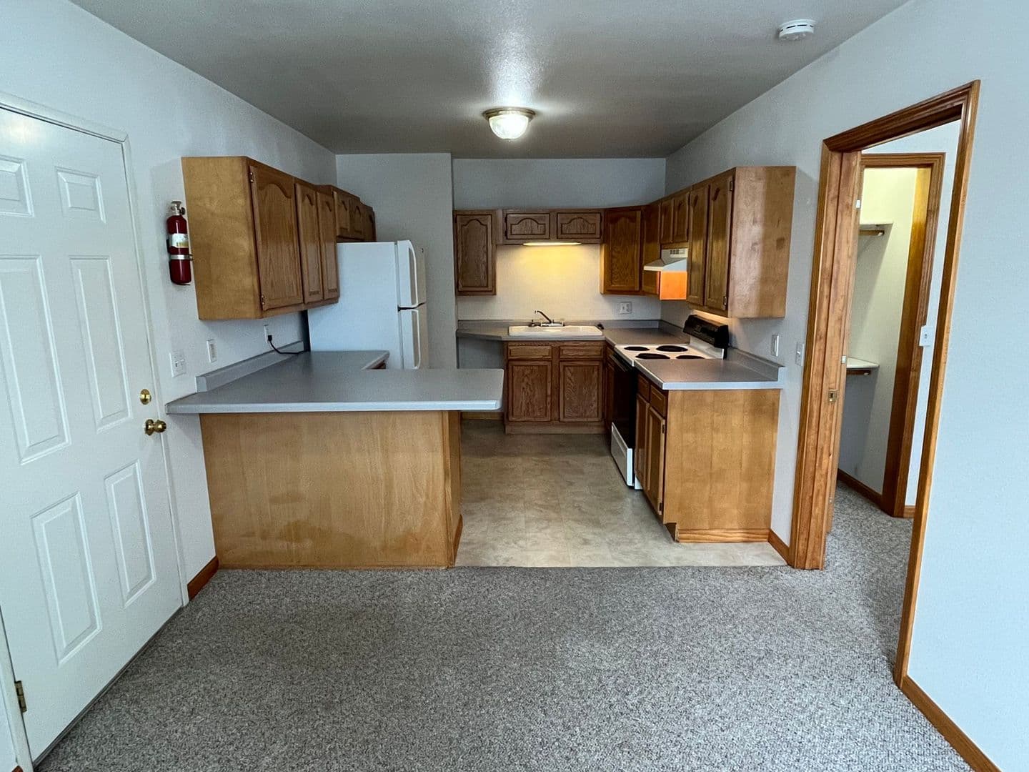 Wittenberg Apartment: 516 S Webb Street