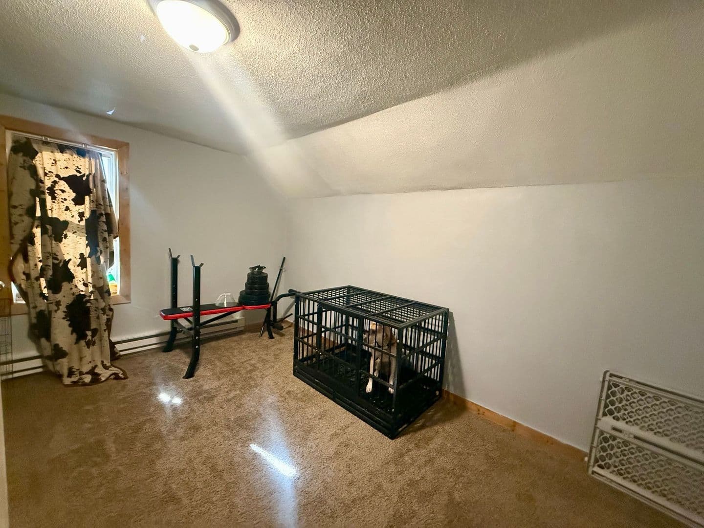 Wausau Apartment: 615 Elm St