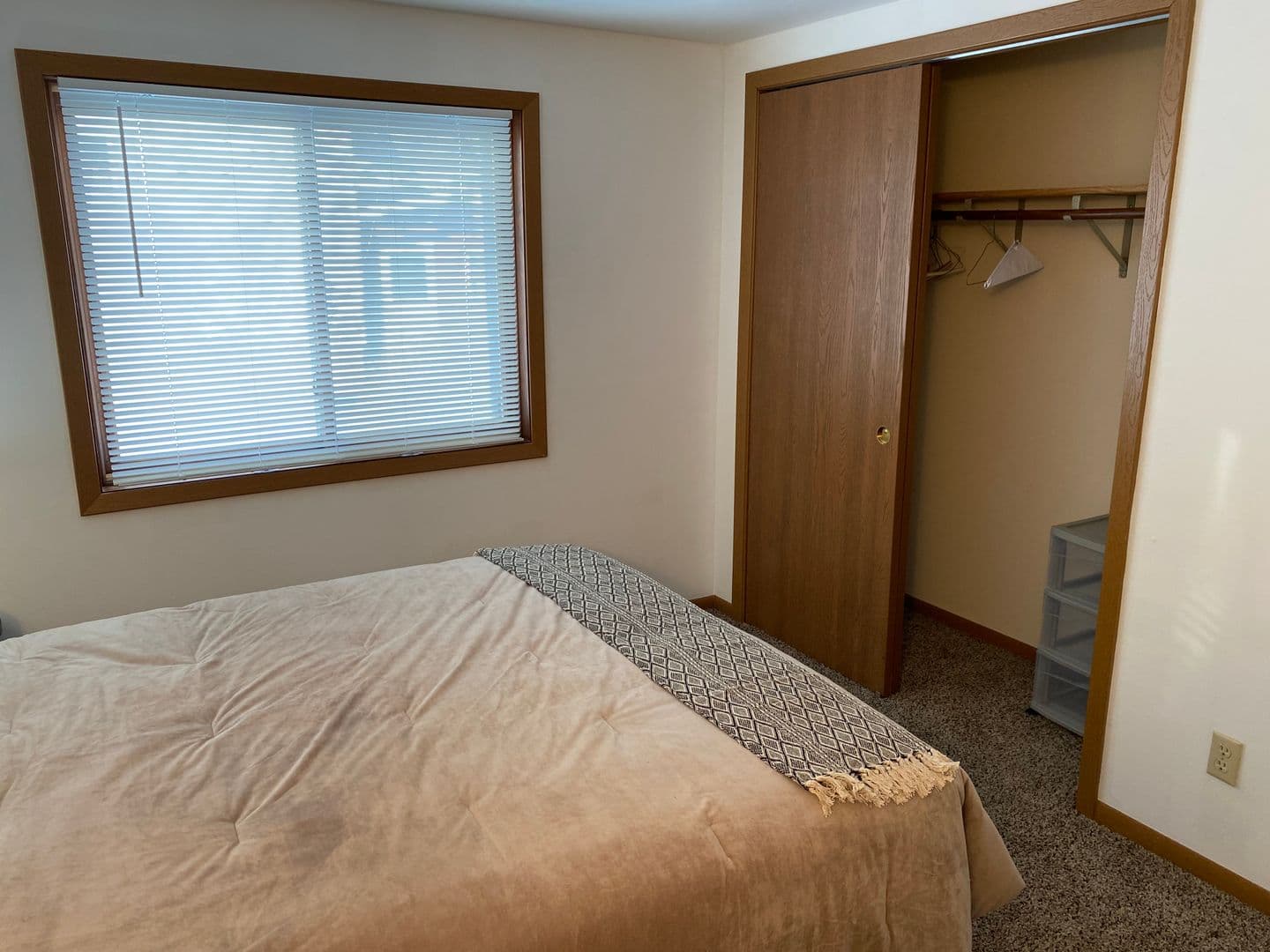 Marshfield Apartment: 307 S Vine Avenue