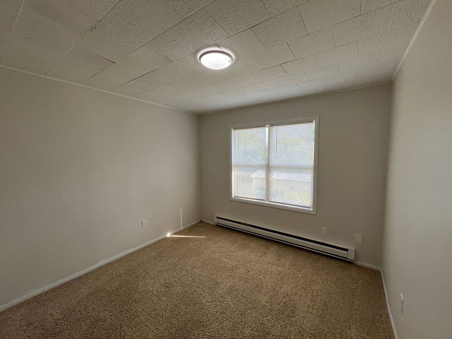 Wittenberg Apartment: 203 E Front St