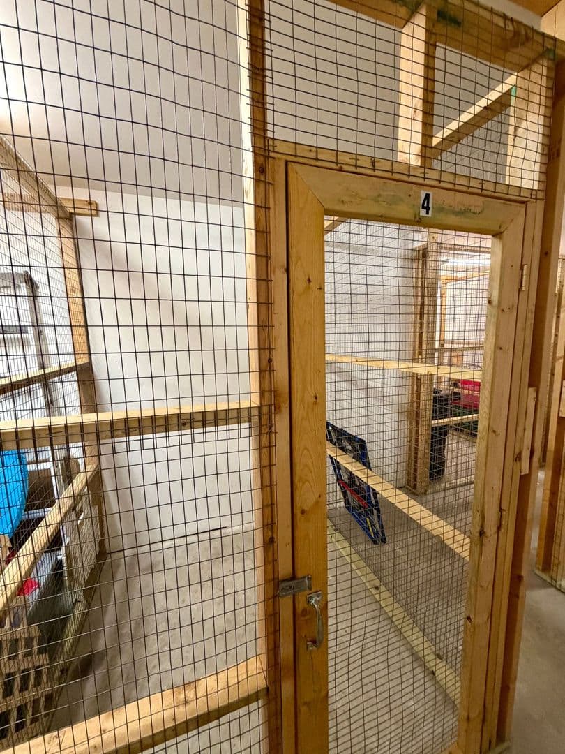 Rhinelander Apartment: 436 Thayer St