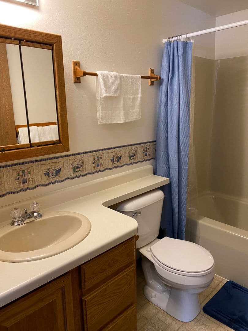 Marshfield Apartment: 307 S Vine Avenue