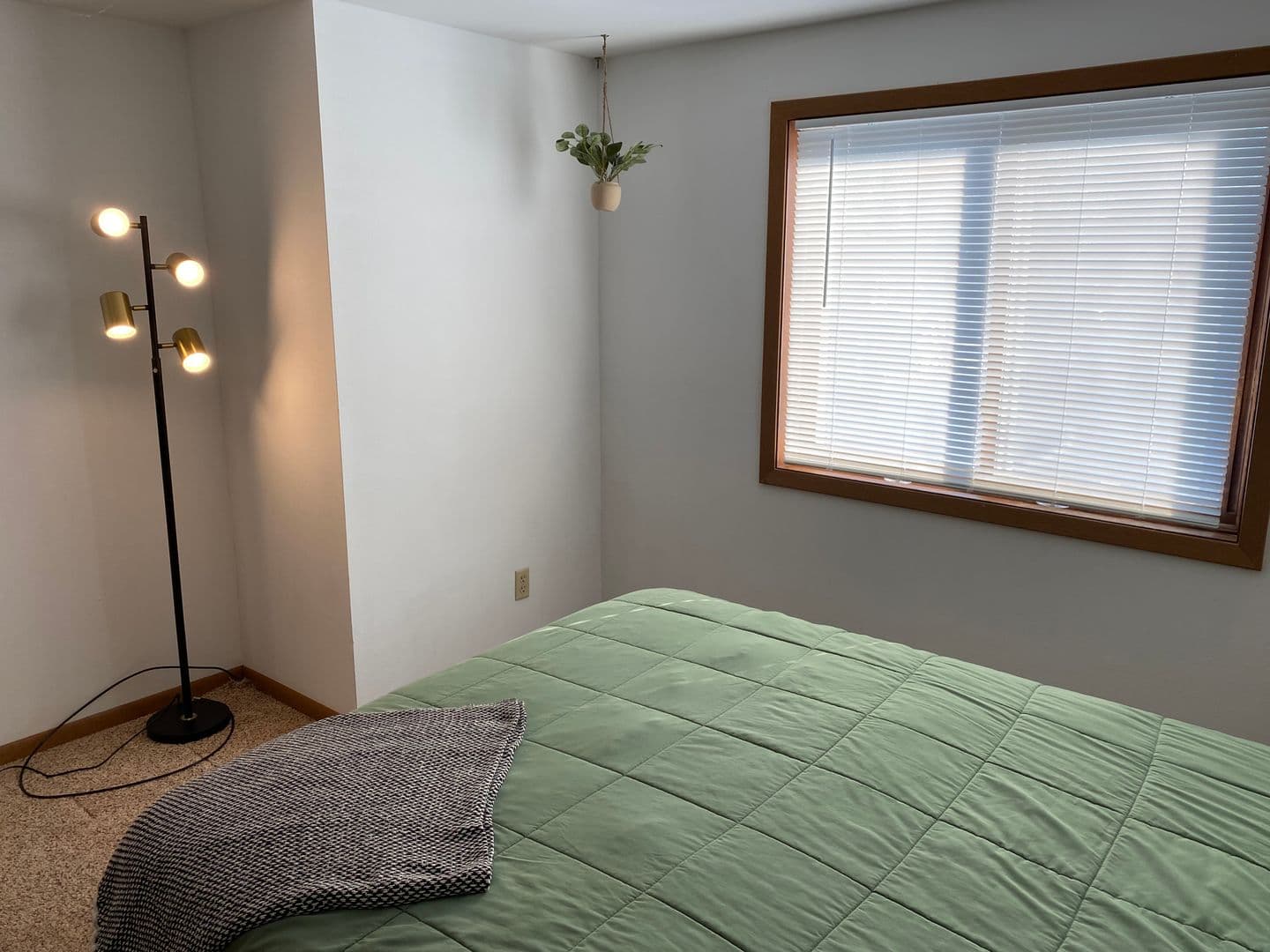 Marshfield Apartment: 307 S Vine Avenue