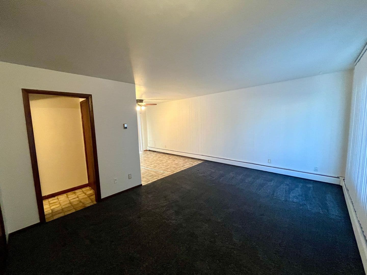 Wittenberg Apartment: 207 E Front St