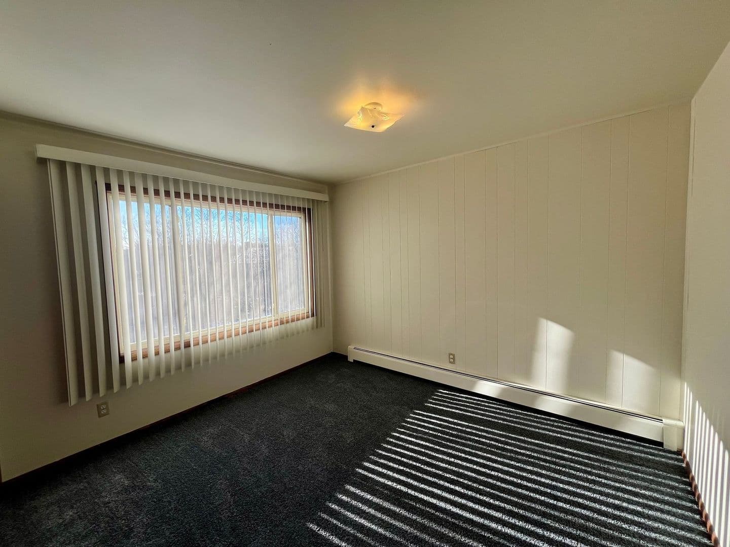 Wittenberg Apartment: 207 E Front St