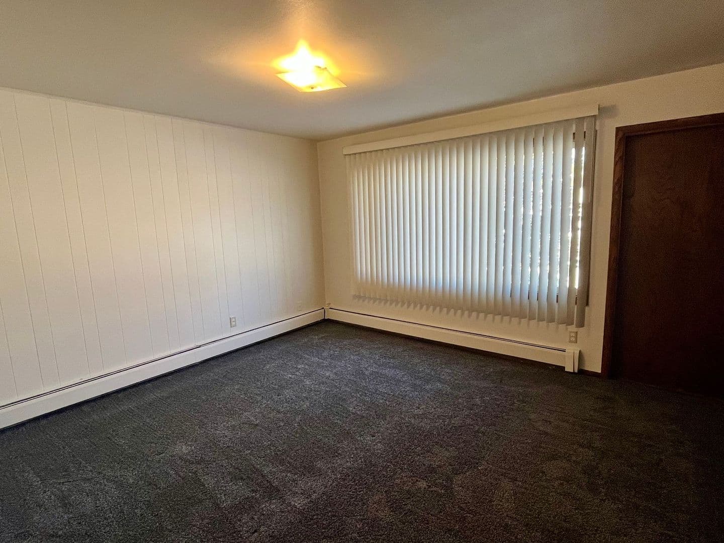Wittenberg Apartment: 207 E Front St