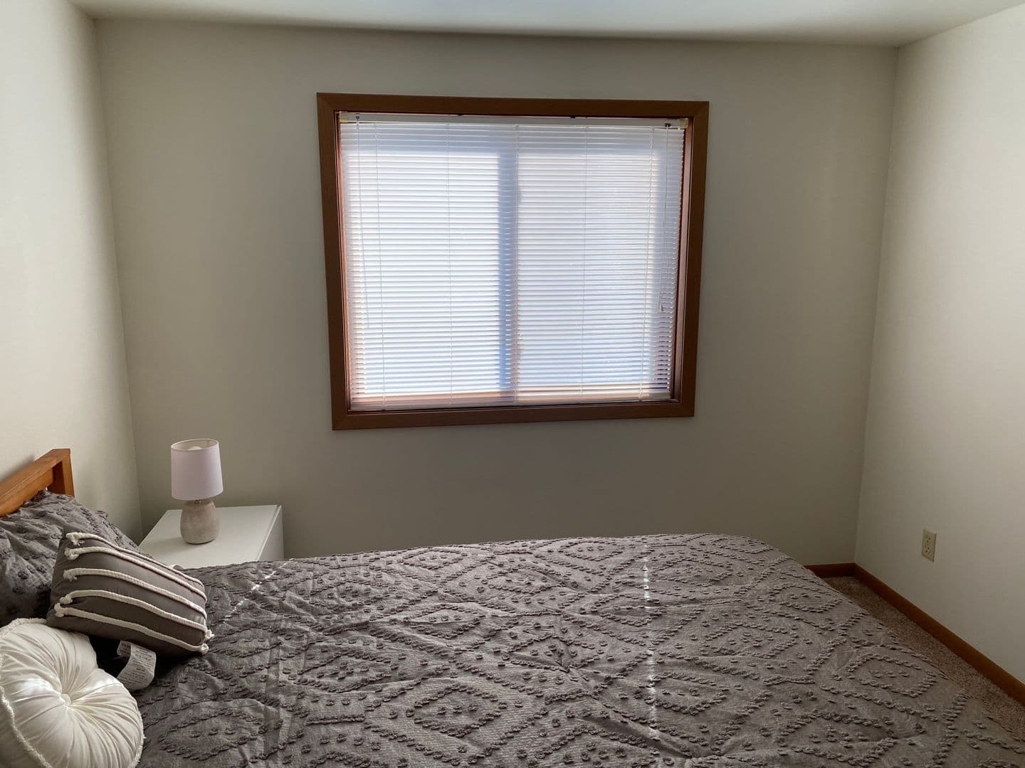 Marshfield Apartment: 307 S Vine Avenue