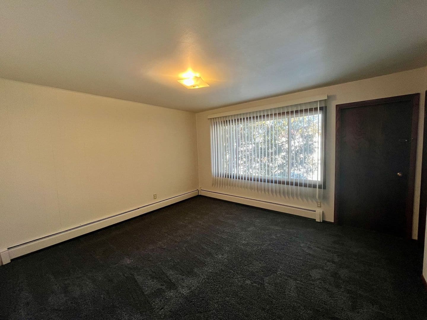 Wittenberg Apartment: 207 E Front St
