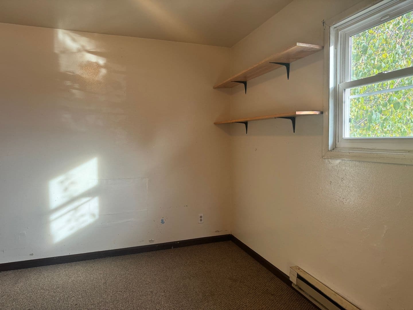 Wittenberg Apartment: 209 E Wood Ave