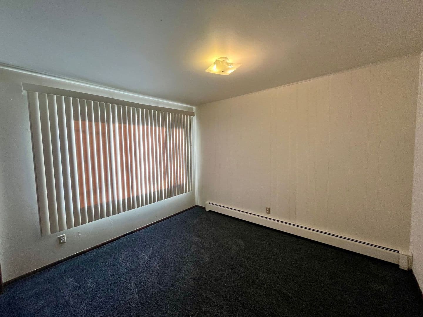 Wittenberg Apartment: 207 E Front St