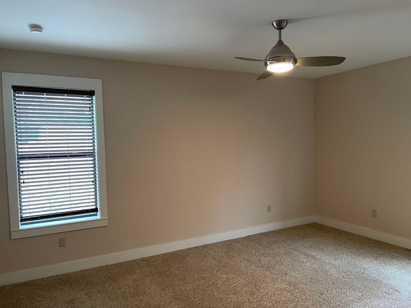 Tampa Apartment: 4905 South Elberon Street