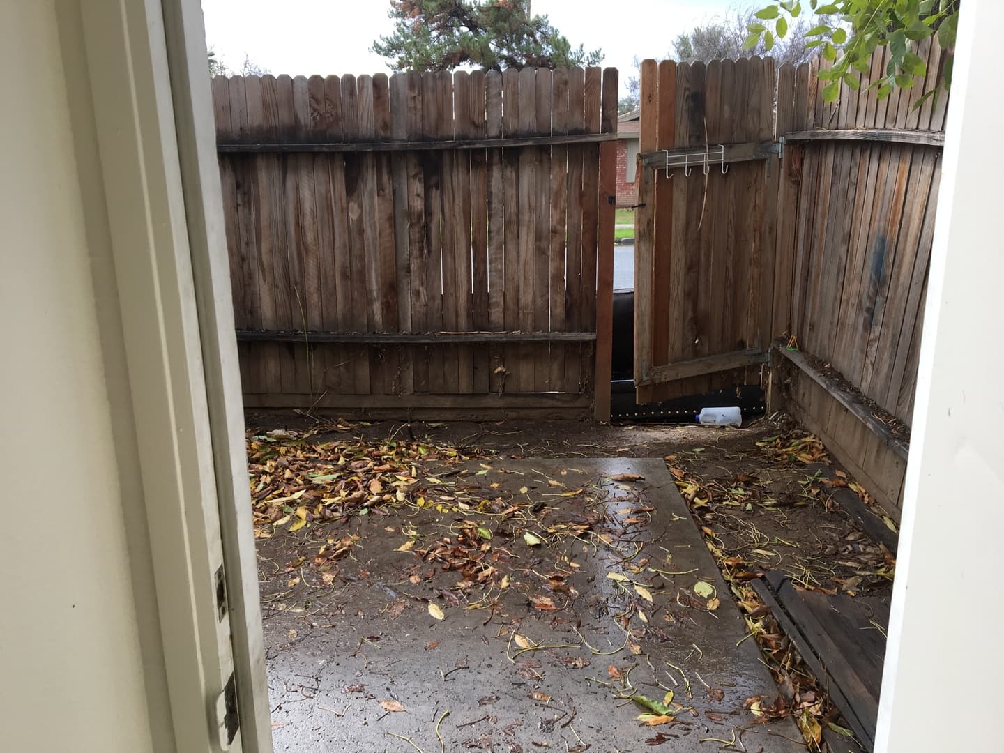 Bakersfield Apartment: 200 Lincoln Ave.