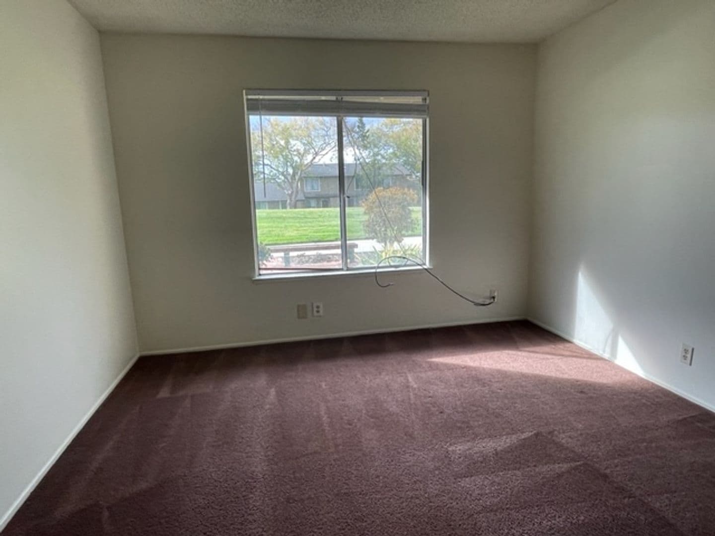 San Jose House: 3331 Cannongate Court