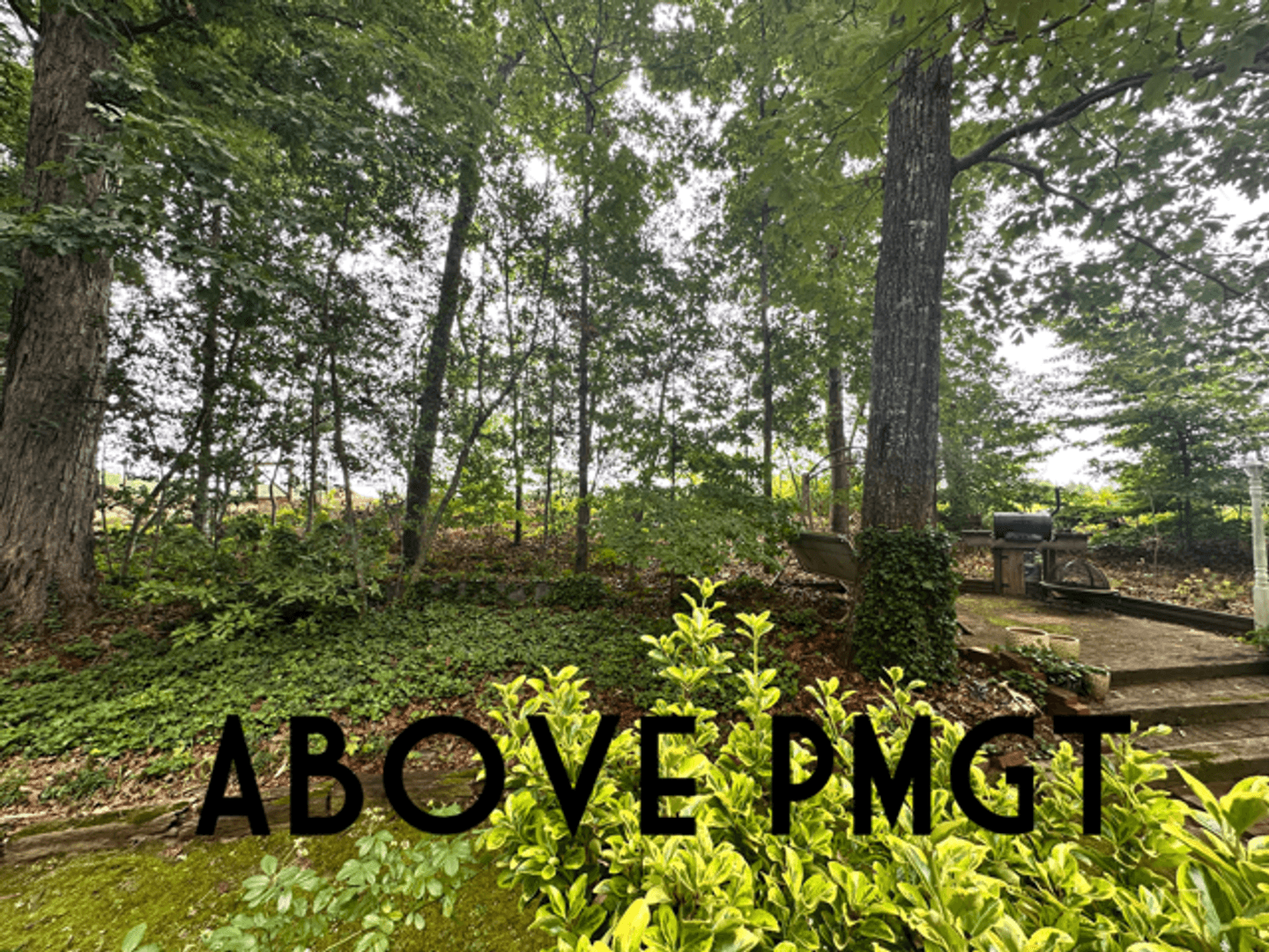 Easley House: 126 Lakeshore Dr