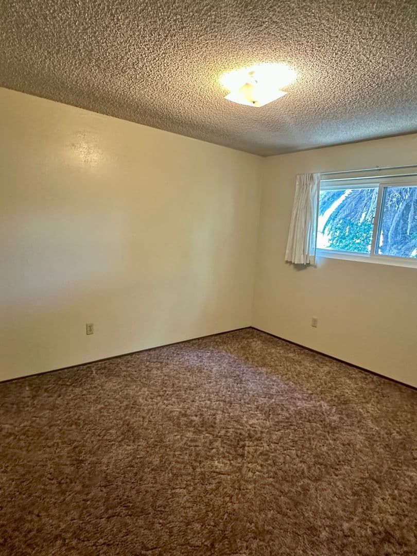 Willows Apartment: 320 Vine St.