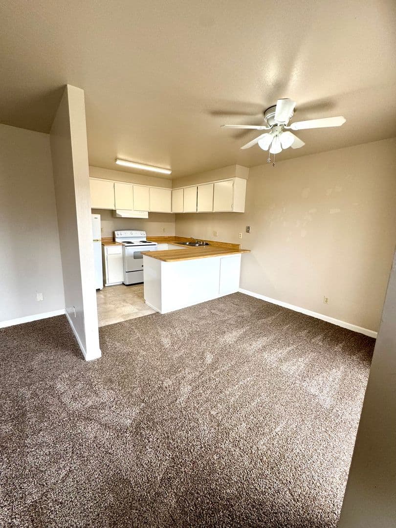 Willows Apartment: 266 S. Yolo Street