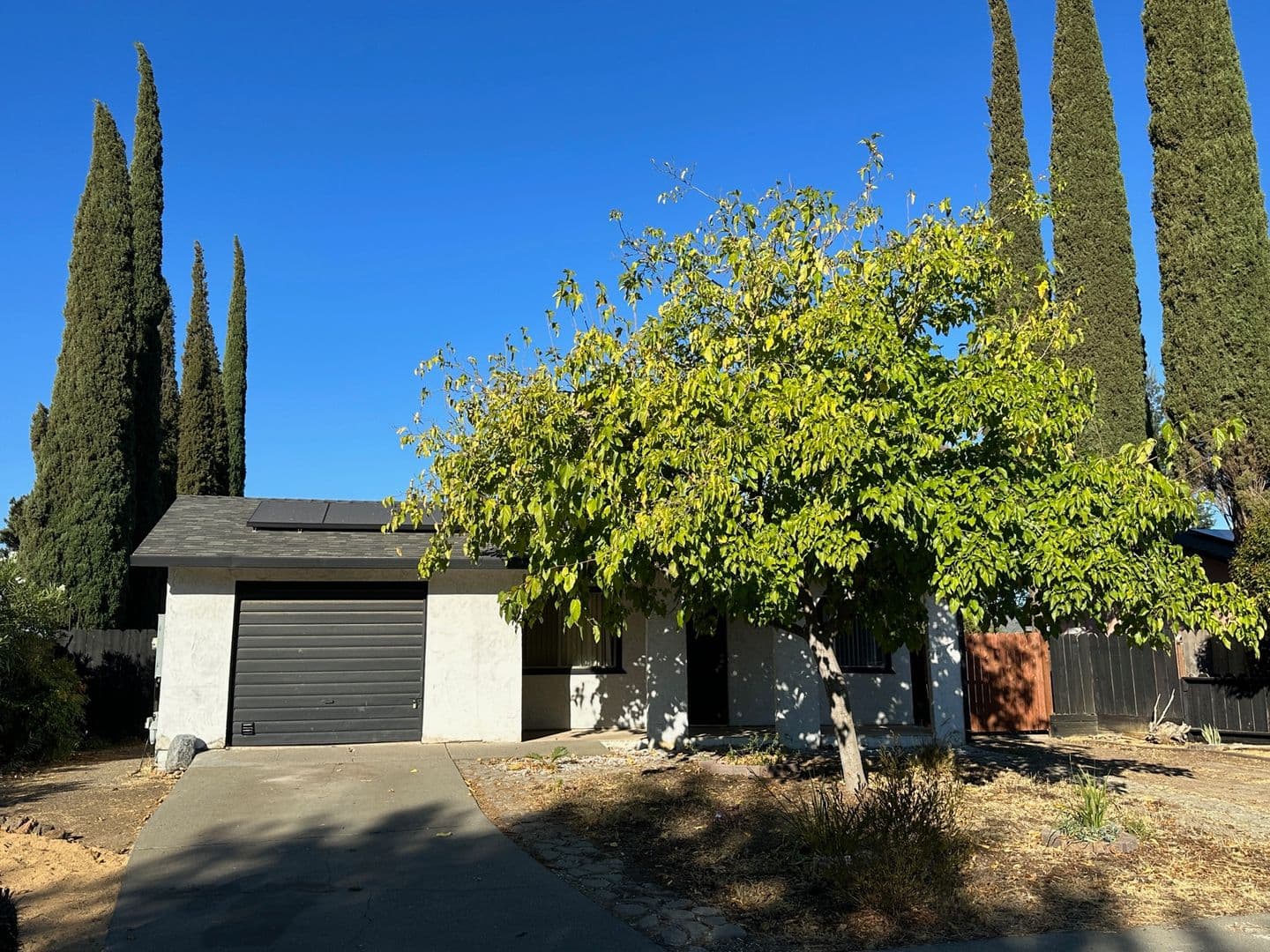 Orland House: 918 Cortina Dr.