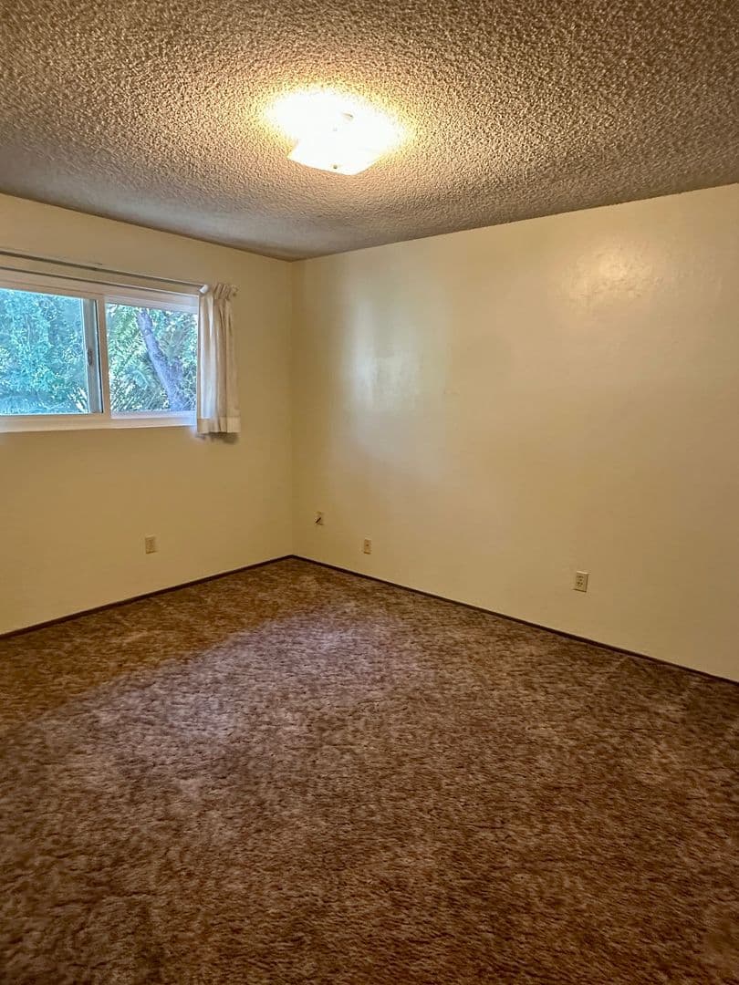 Willows Apartment: 320 Vine St.