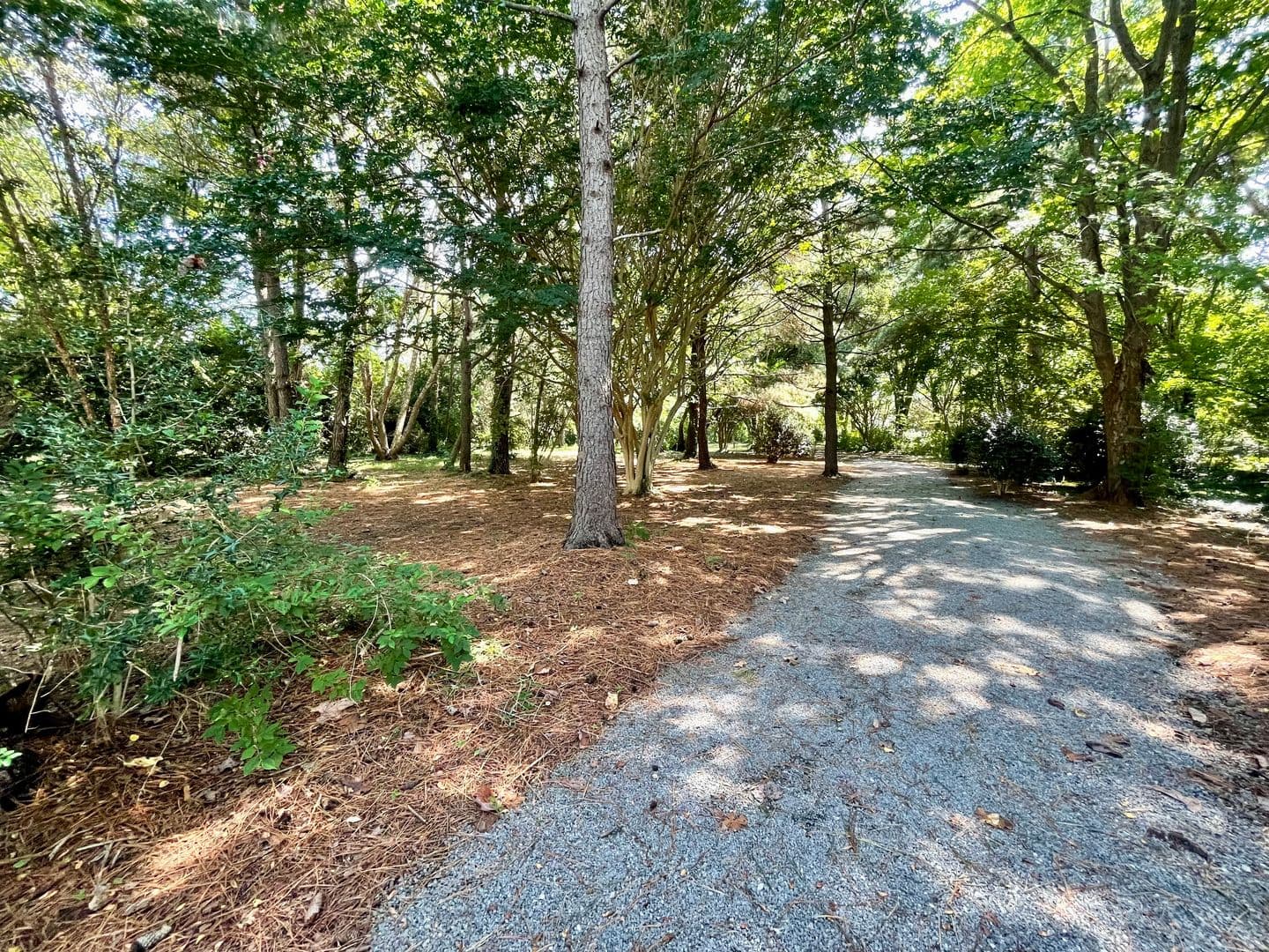 Portsmouth House: 1504 Sawgrass Ln