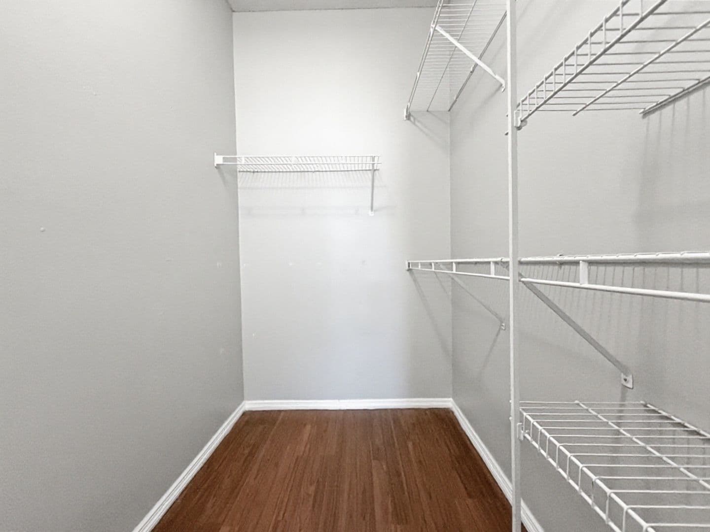 Orlando House: 13180 Summerton Avenue