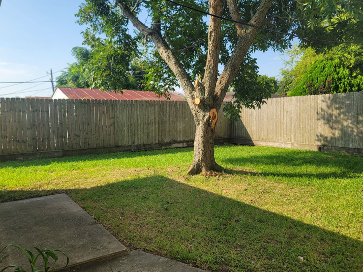 Galveston House: 1523 Campbell