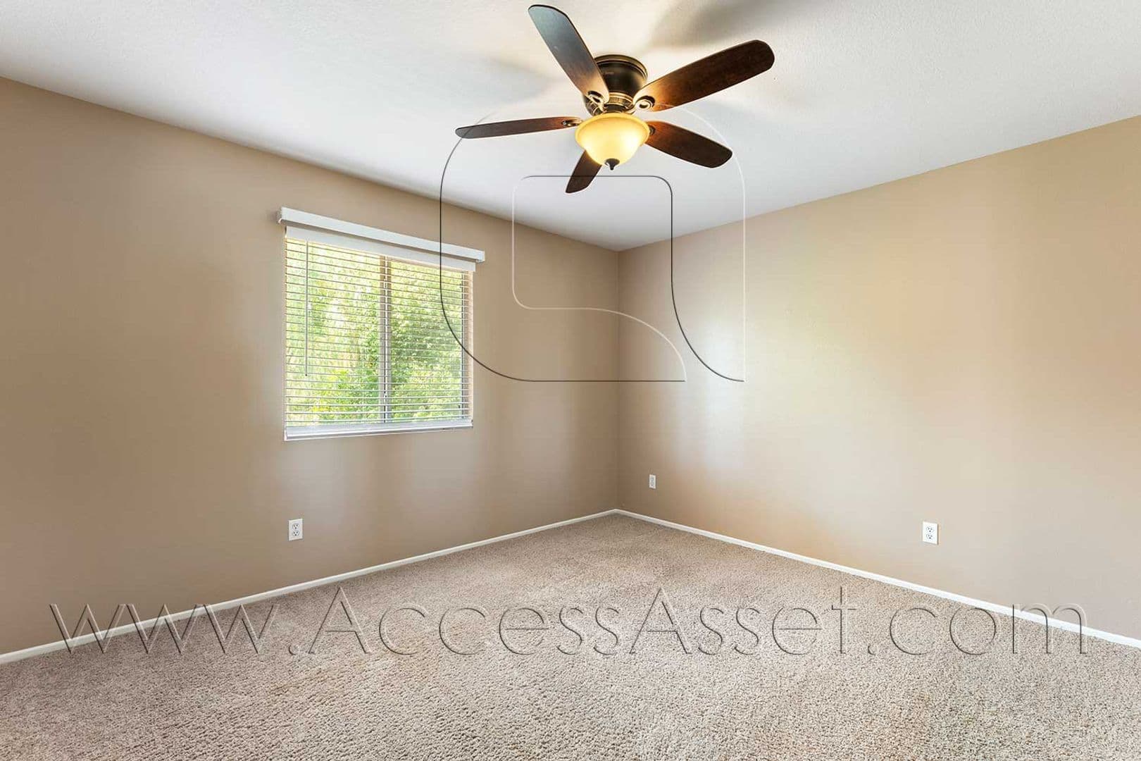 Corona House: 1358 Baldwin St