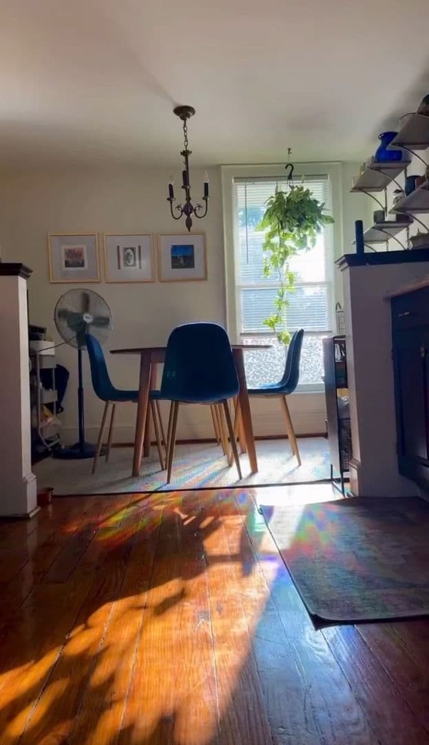 Chapel Hill Apartment: 205 Vance St