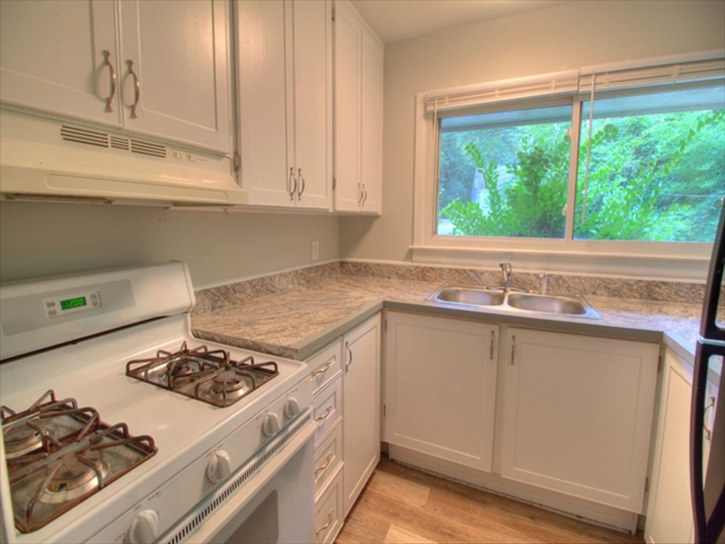 Chapel Hill Apartment: 113 Purefoy Rd