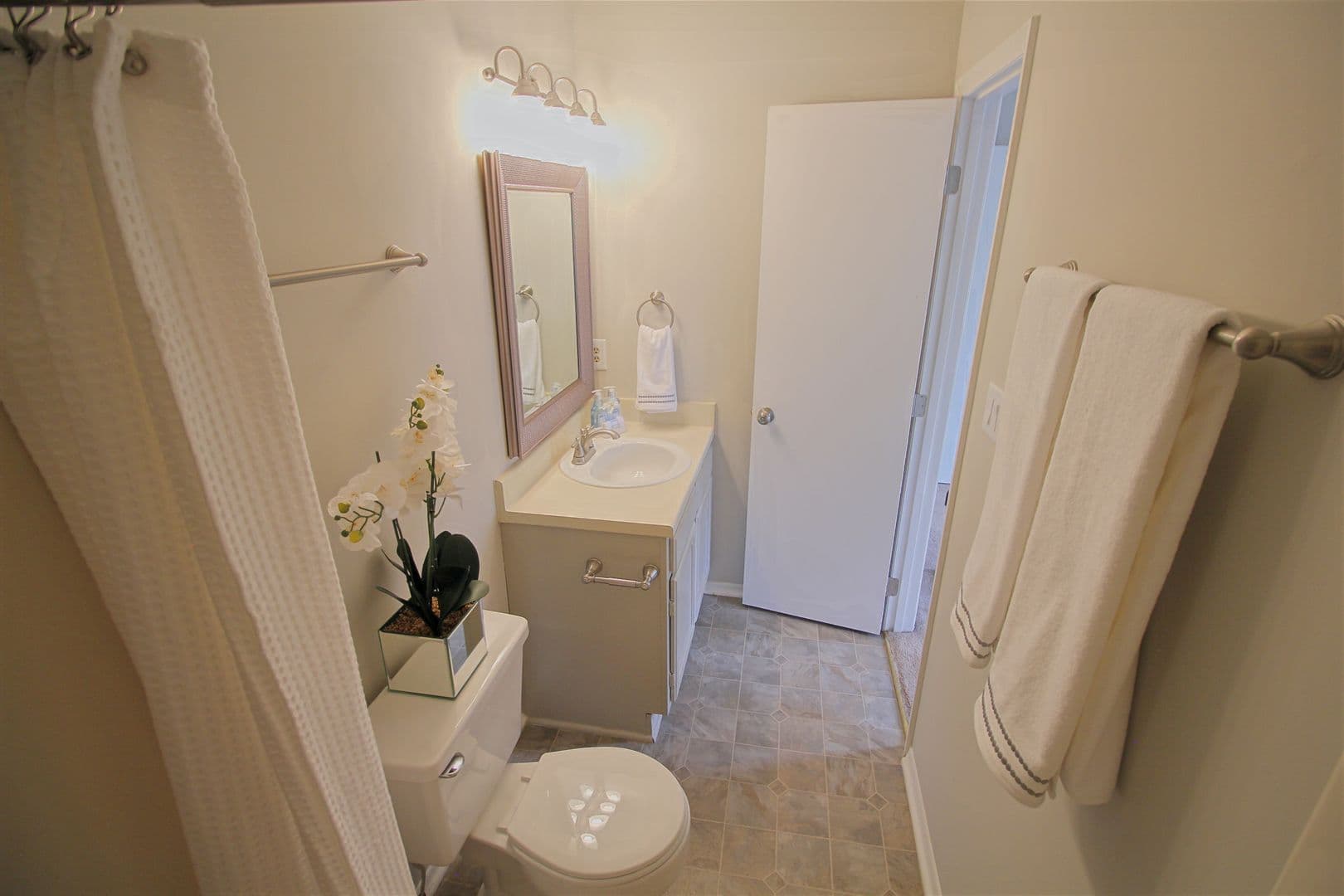 Raleigh Apartment: Pinna Ct and Hammock Pl