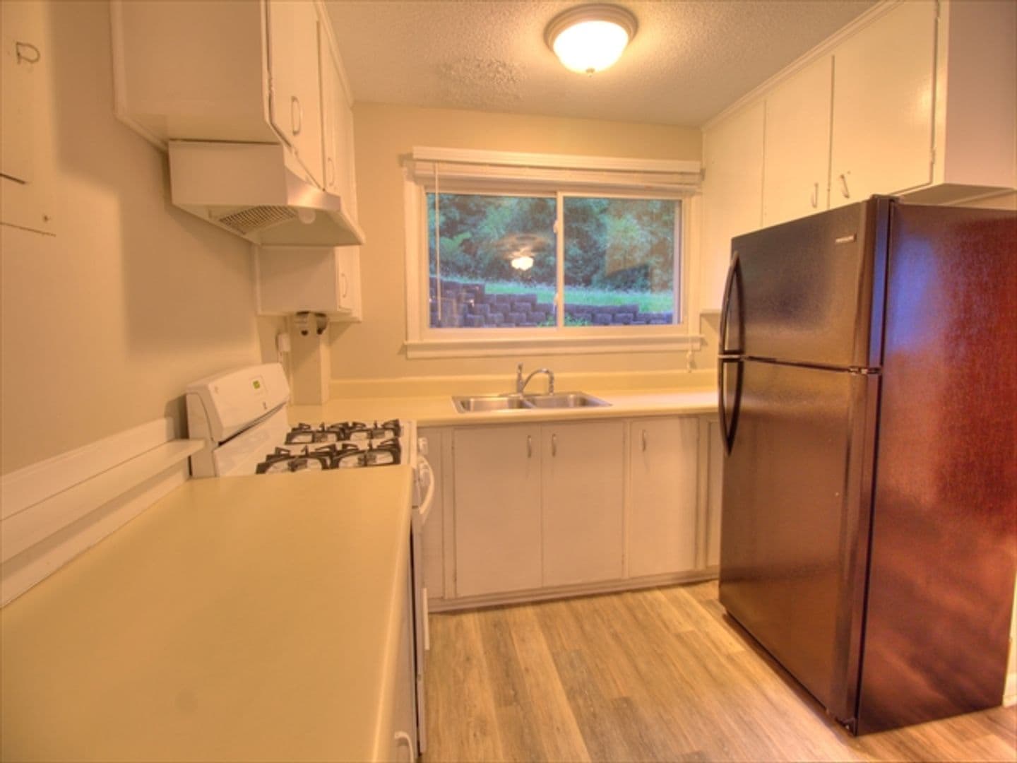 Chapel Hill Apartment: 113 Purefoy Rd