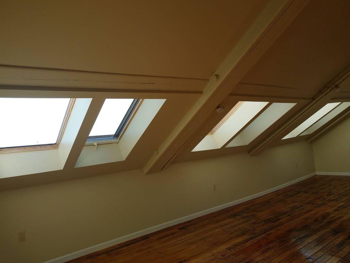 New Bedford Apartment: 75 Wamsutta Street