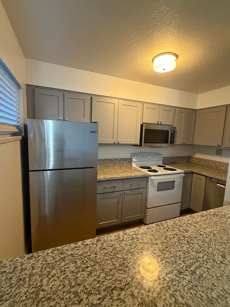 Reno Apartment: 1355 Carlin Street