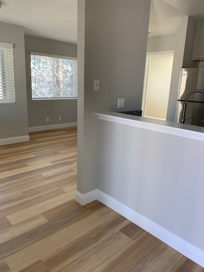 Reno Apartment: 310 Pine Street