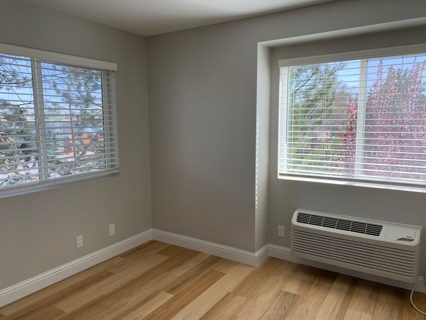 Reno Apartment: 310 Pine Street