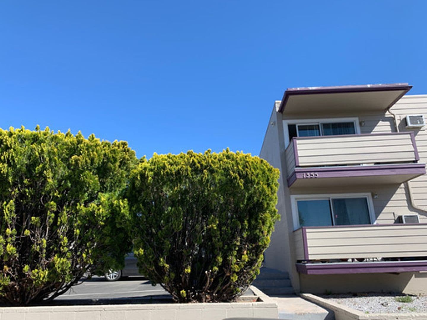 Reno Apartment: 1355 Carlin Street