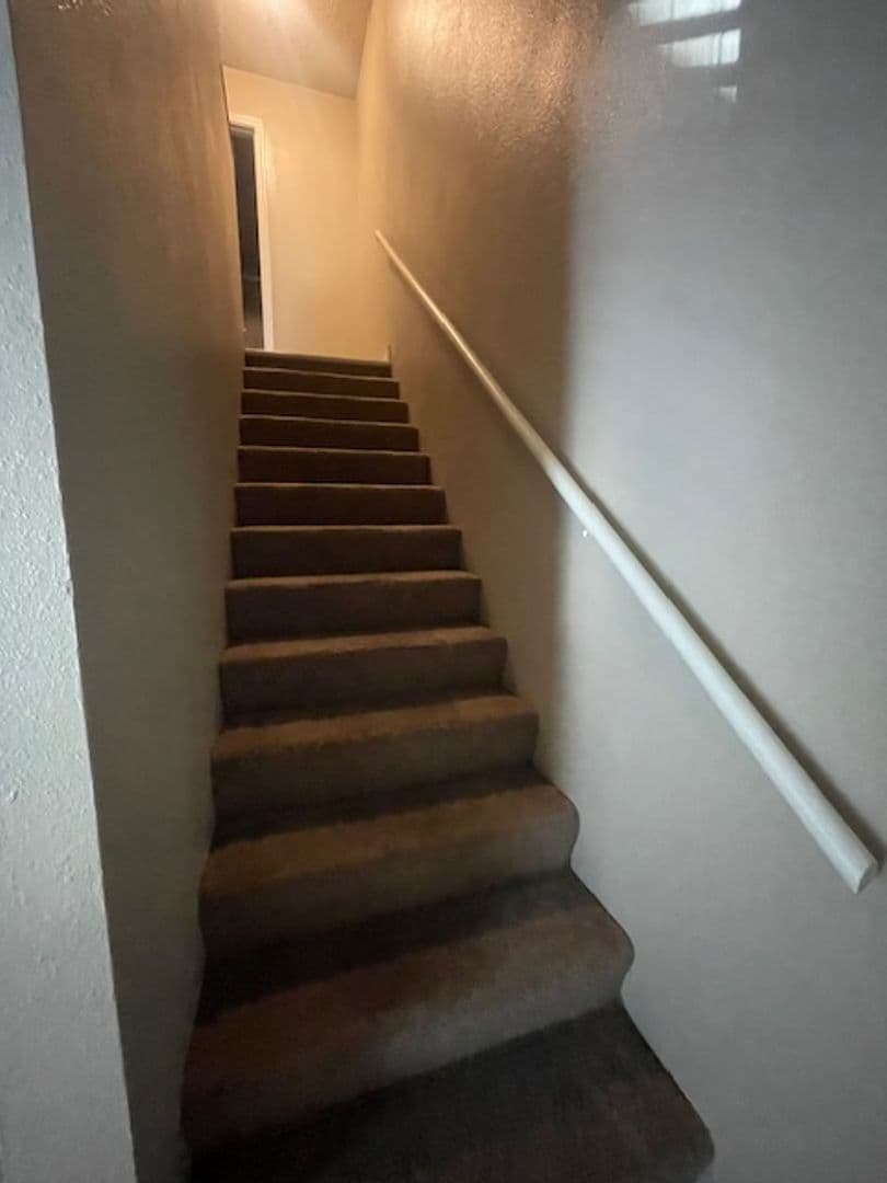 Reno Apartment: 1060 Nevada Street
