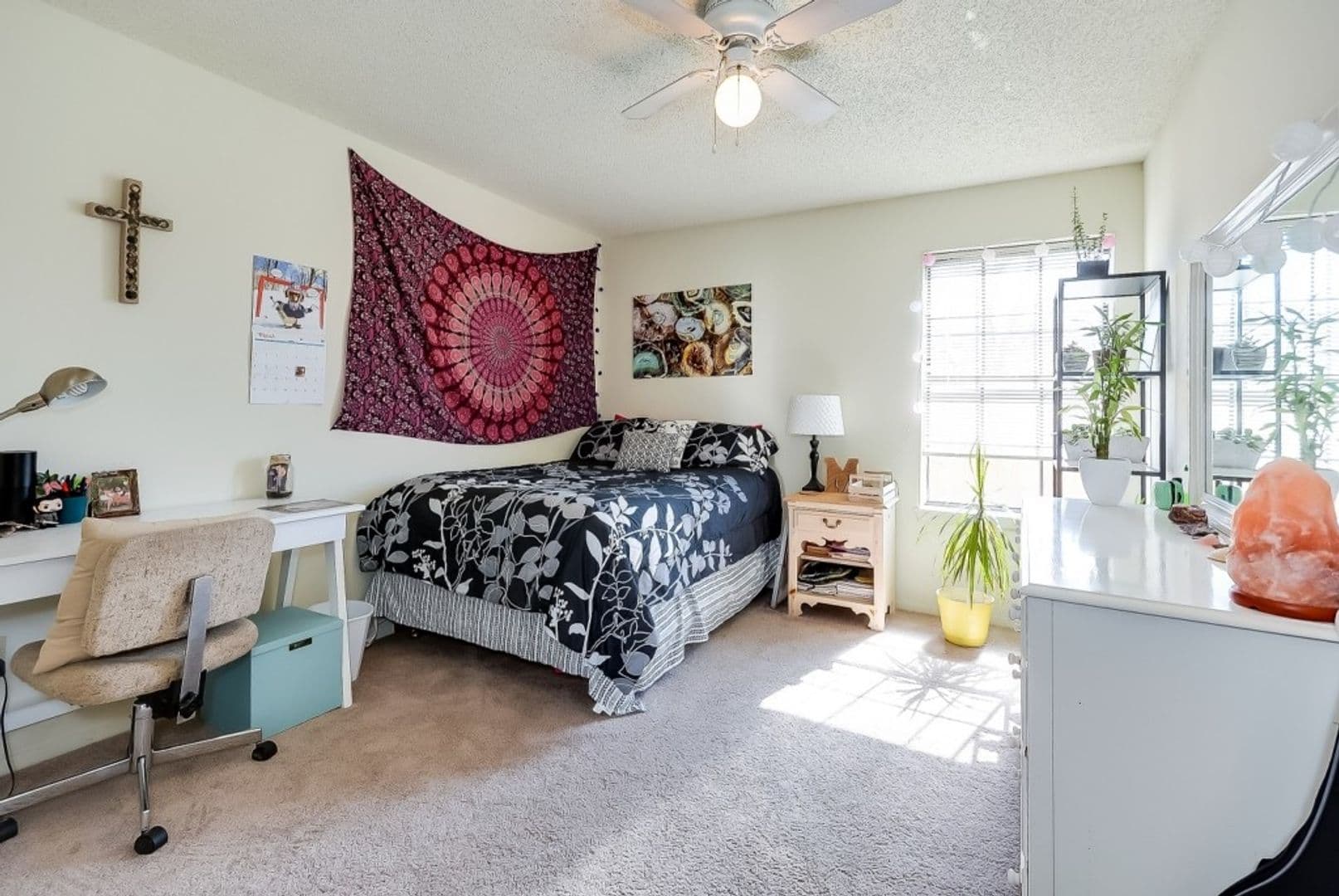 Denton Apartment: 218 North Texas Boulevard
