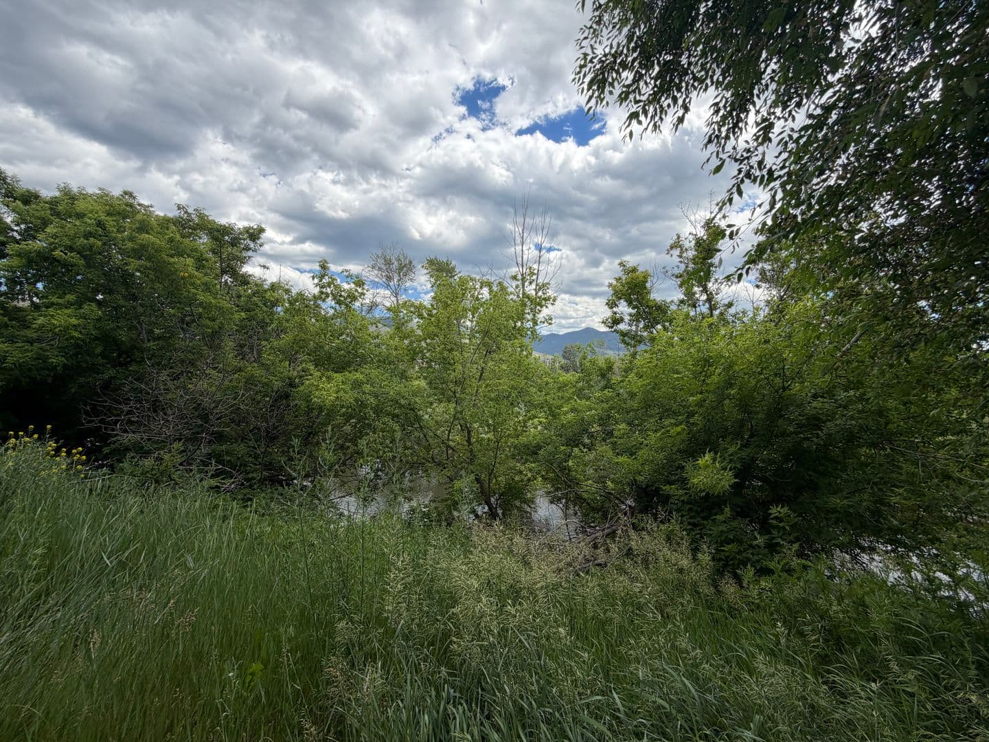 Missoula House: 530 Burton St B3