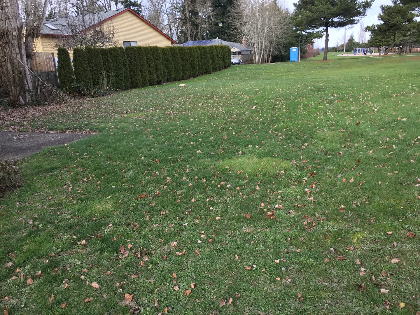 Beaverton House: 16505 NW Paisley Drive