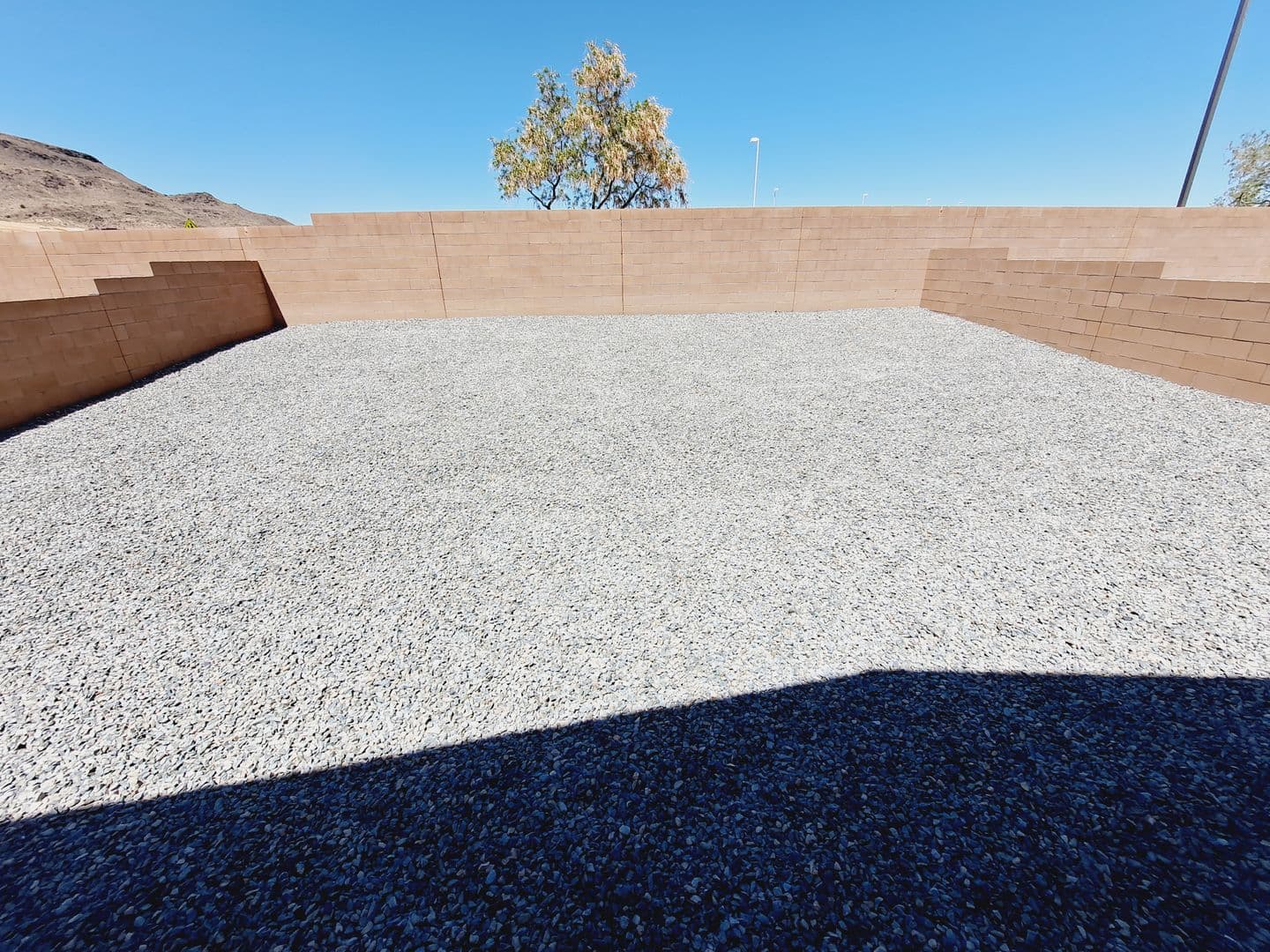 Los Lunas House: 761 Desert Senna