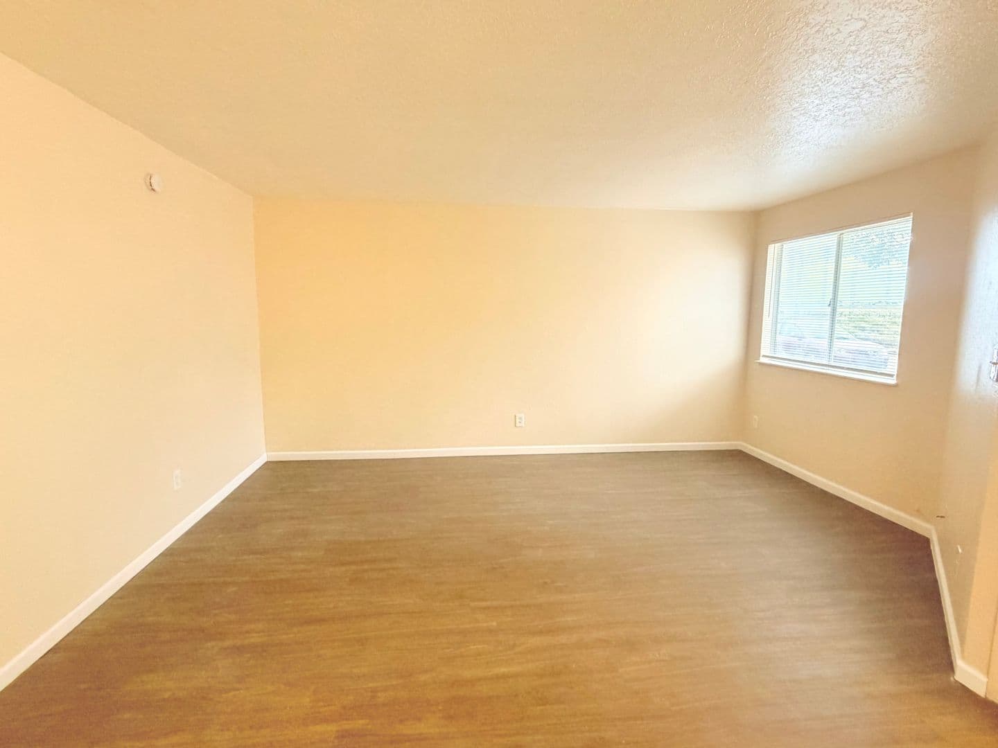 Rio Rancho Apartment: 509 Vancouver Road SE