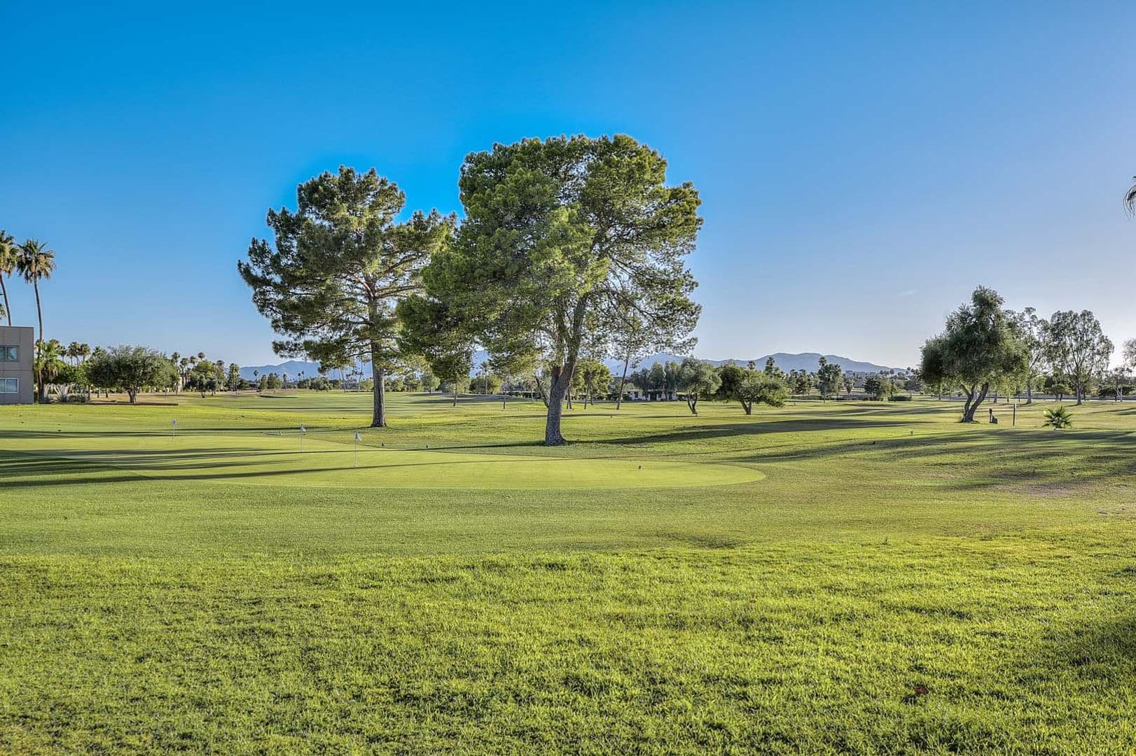 Sun City West House: 14227 W YOSEMITE DR