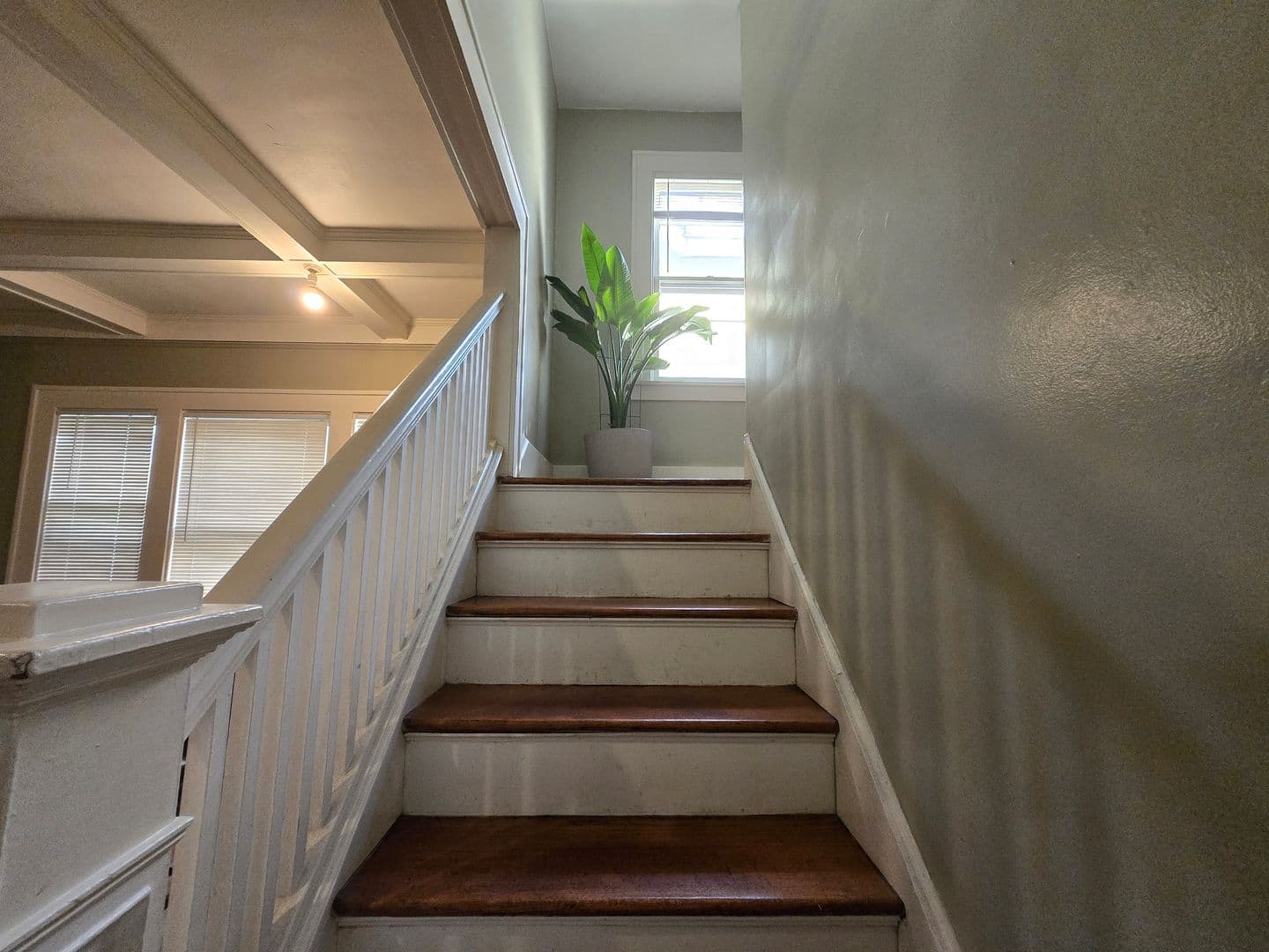 Rochester Apartment: 51-53 Morningside Park