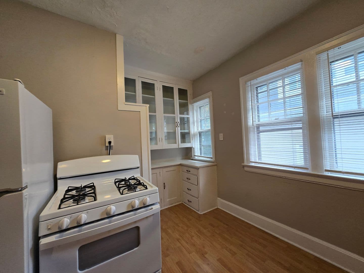 Rochester Apartment: 42 Berkshire Street