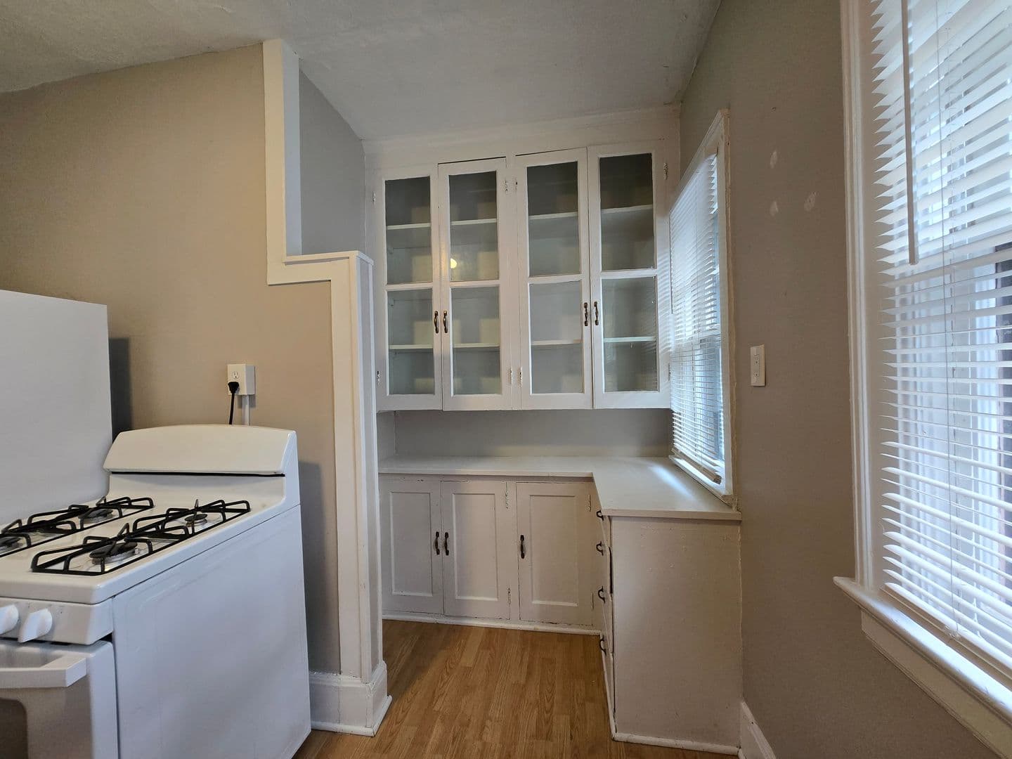 Rochester Apartment: 42 Berkshire Street