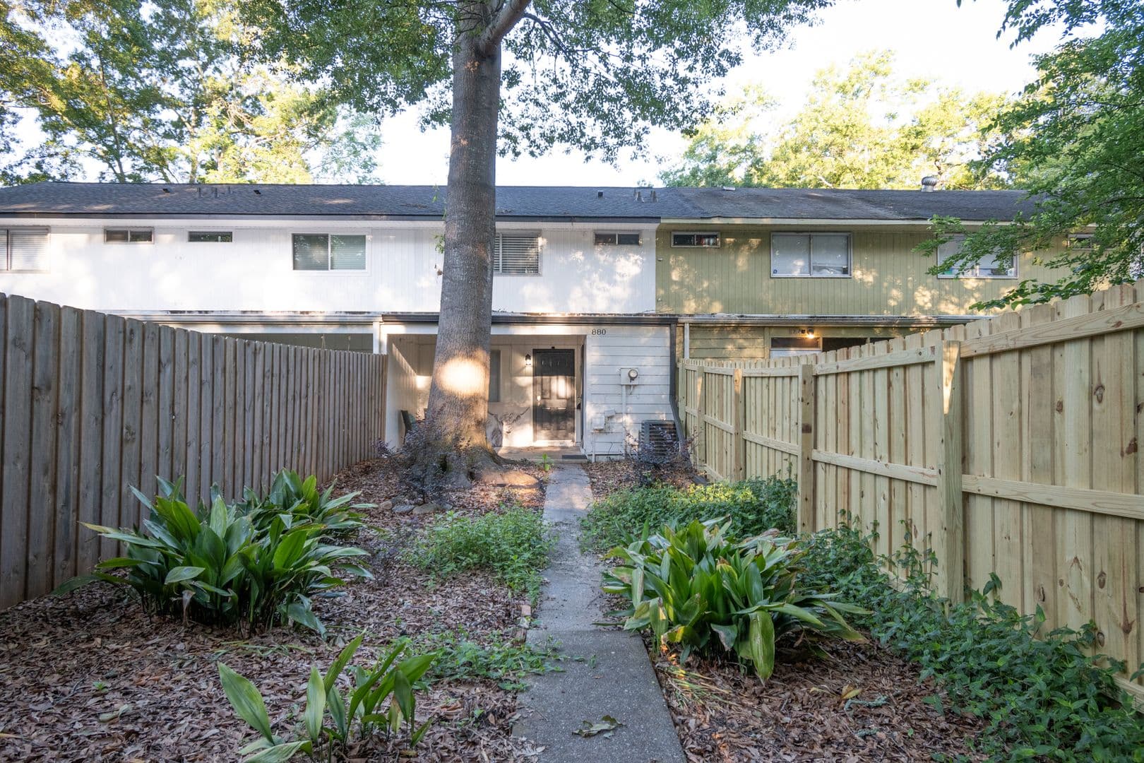 Athens House: 880 College Avenue