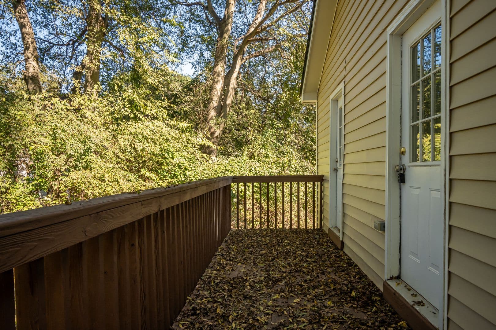 Athens House: 430 Cleveland Avenue